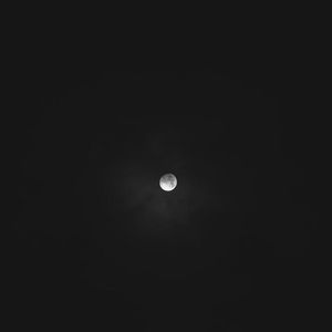 Meet your Posher, Samuel